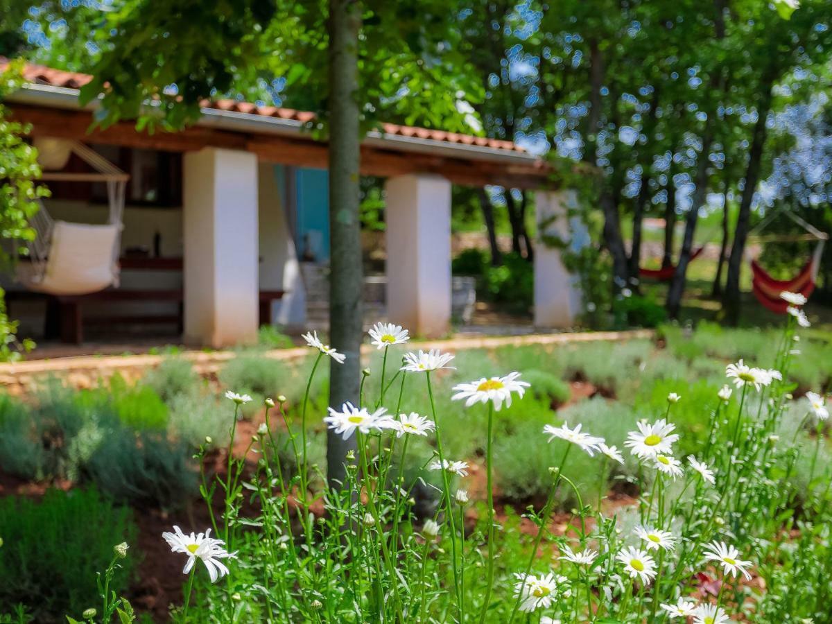 Holiday Home Country House D&D By Interhome Пула Екстериор снимка